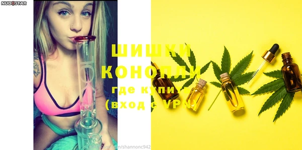 ECSTASY Липки