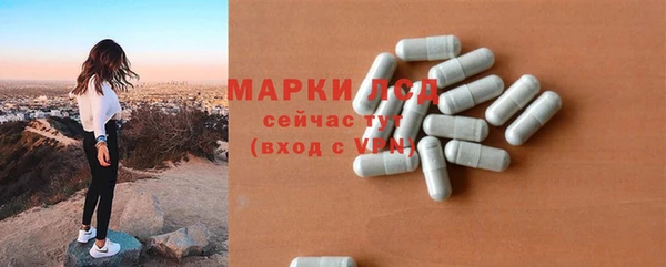 ECSTASY Липки